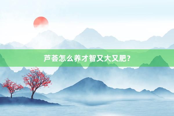 芦荟怎么养才智又大又肥？
