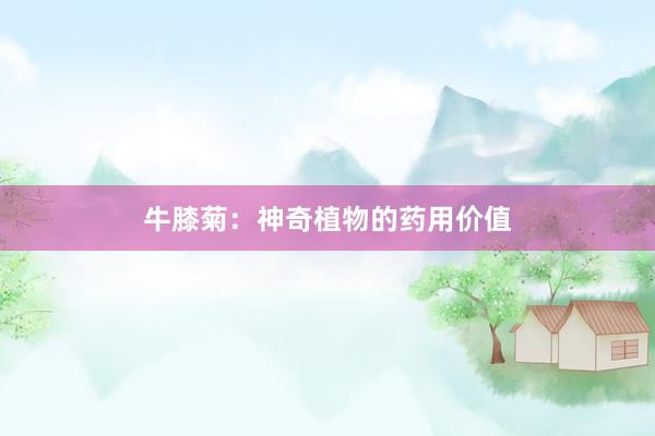 牛膝菊：神奇植物的药用价值